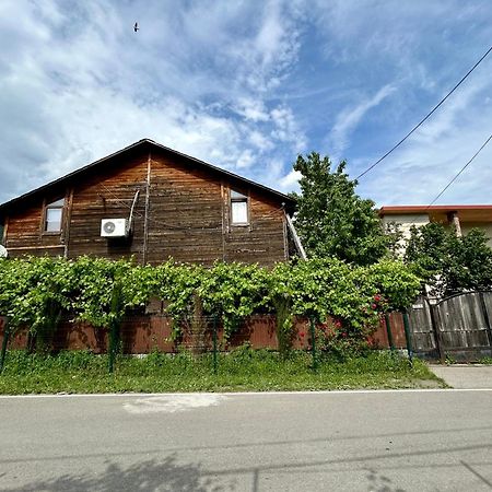 ❆Cozy, 4 Br. Villa In Ananuri❆ Екстериор снимка